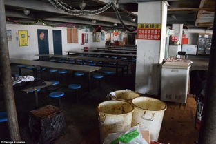 外媒報道引發(fā)關(guān)注 iPhone上海代工廠員工住宿服務(wù)引爭議
